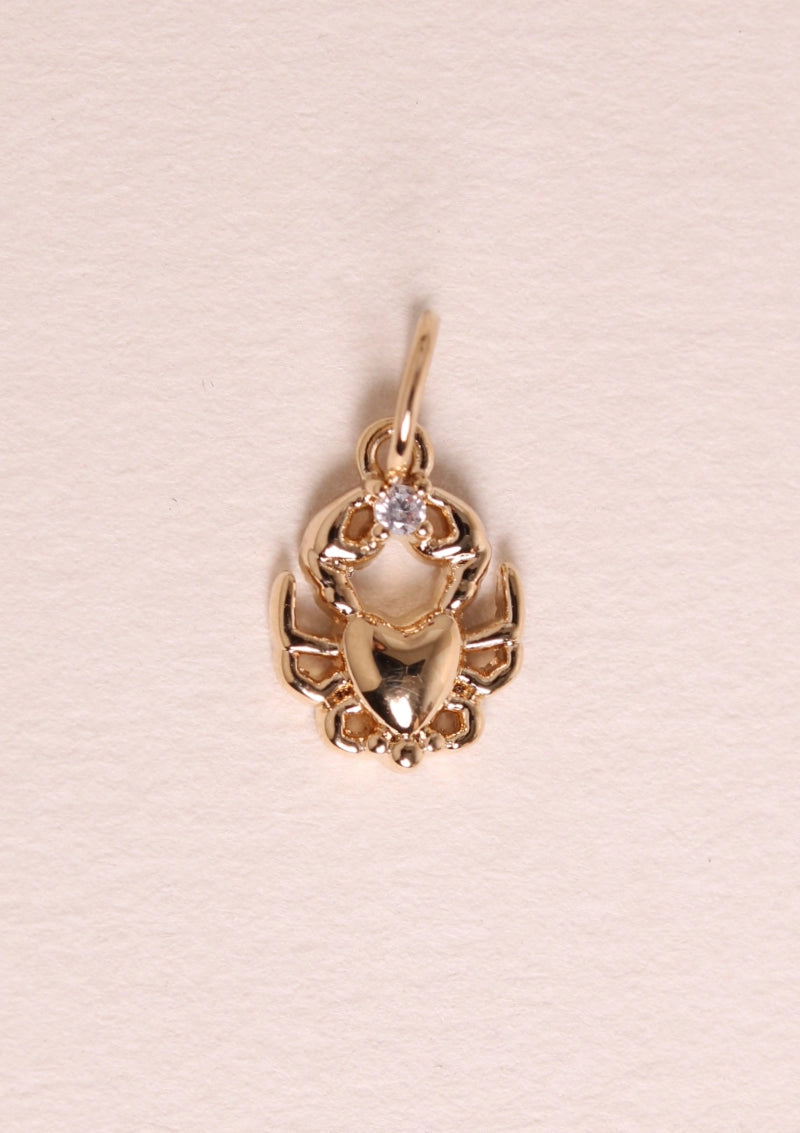 ASTRO Charm