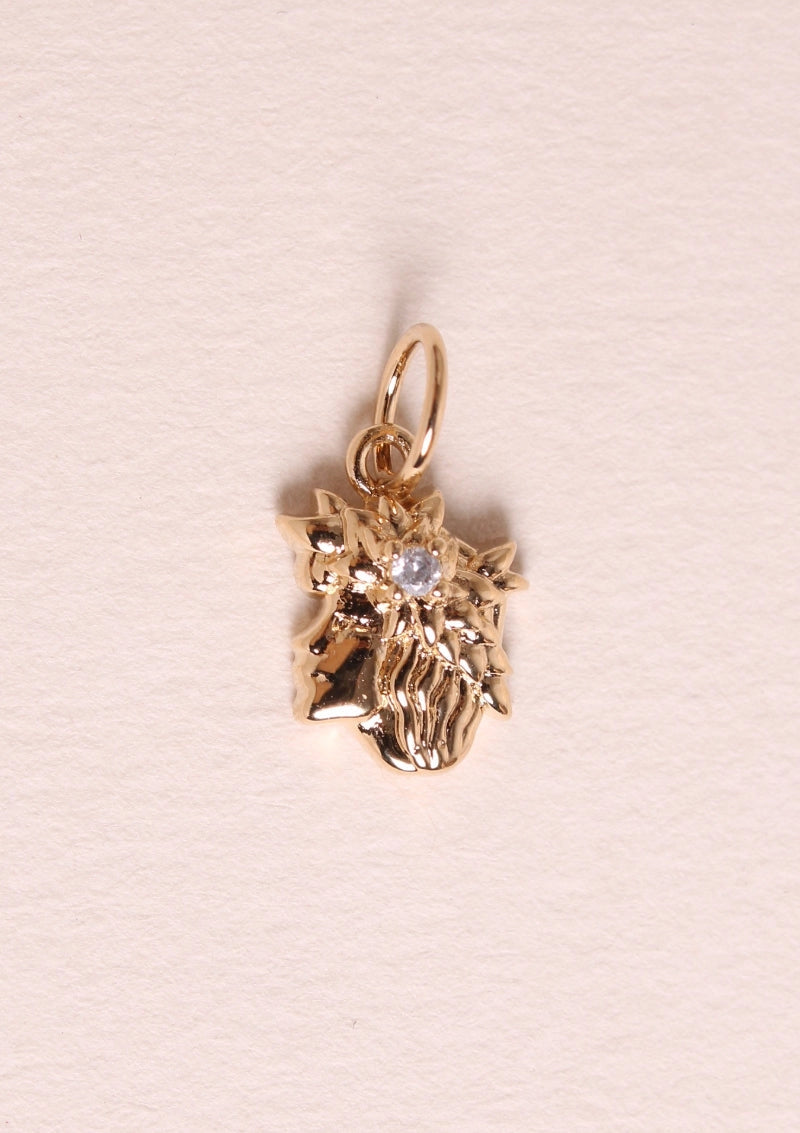 ASTRO Charm