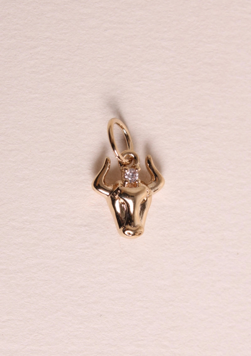 ASTRO Charm