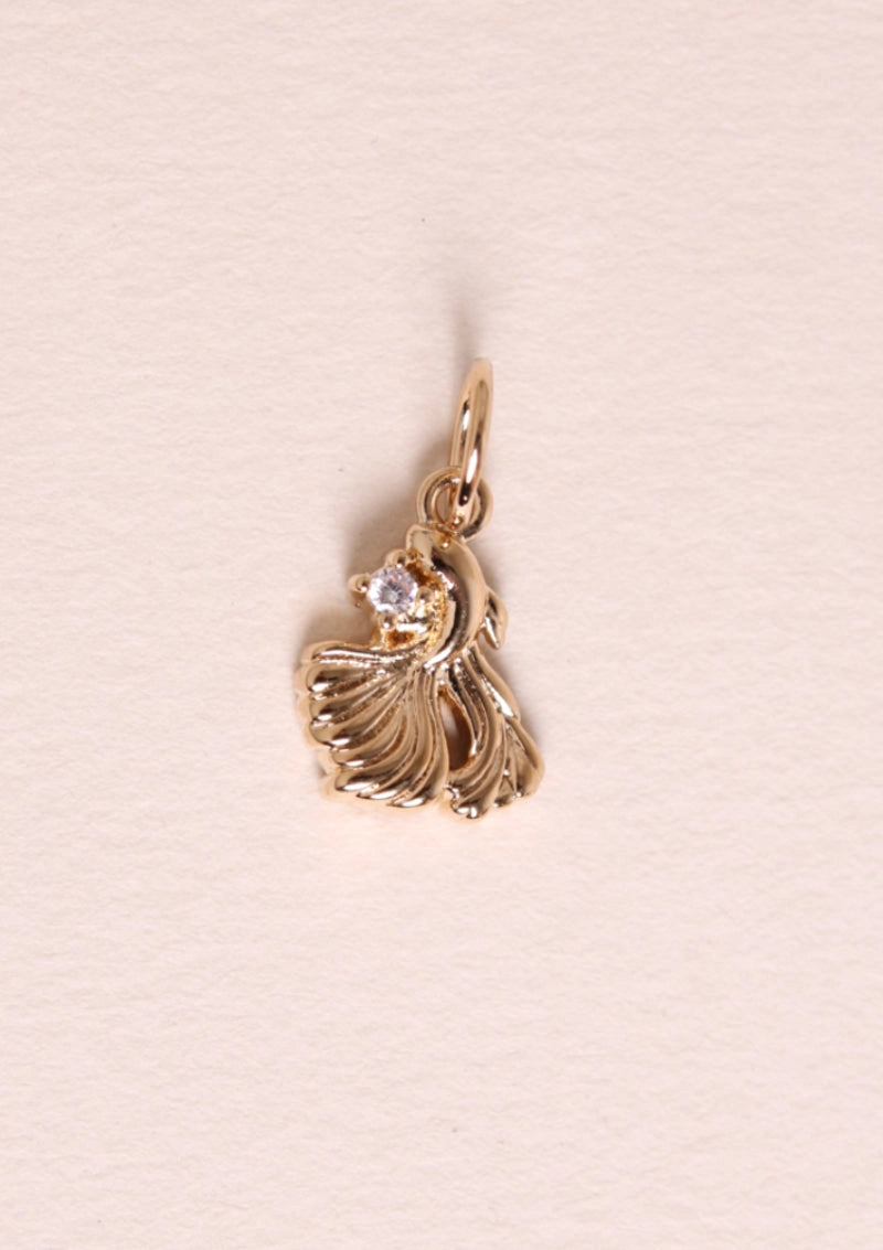 ASTRO Charm