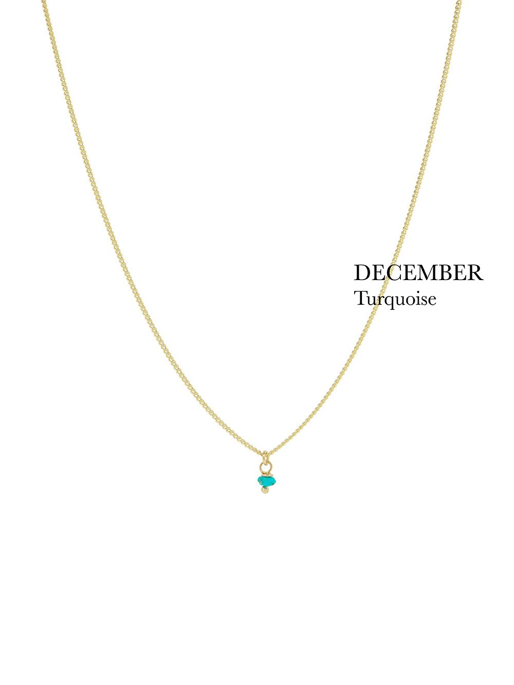 BIRTHSTONE necklace⎜Goldplated