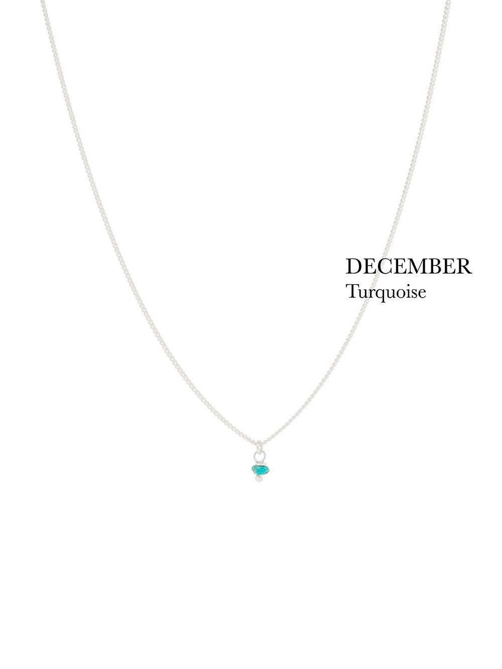 BIRTHSTONE necklace⎜Silver