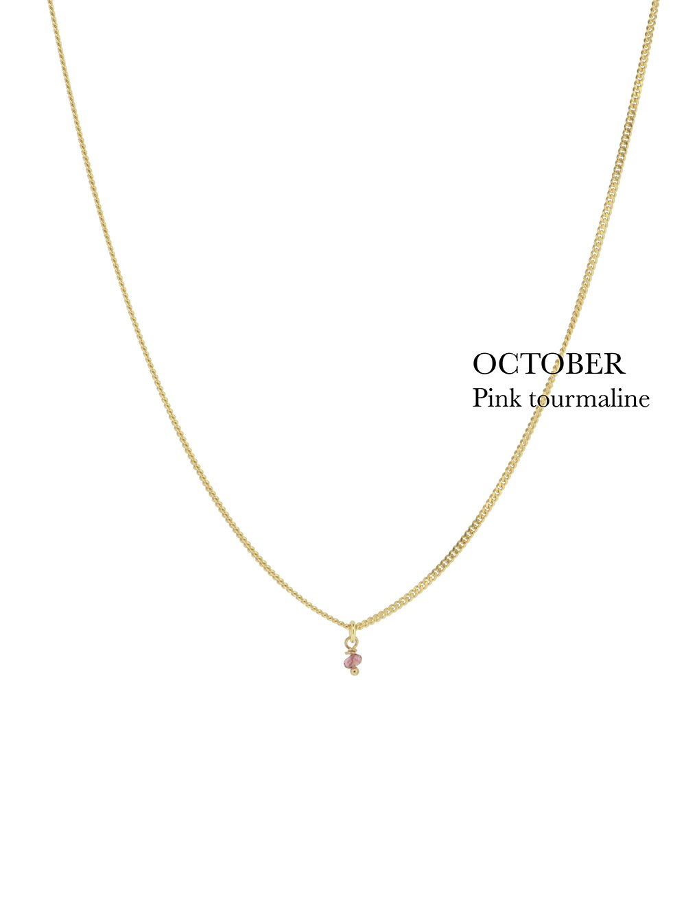 BIRTHSTONE necklace⎜Goldplated