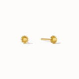 SUNSHINE studs GP