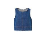 DAFNE Top