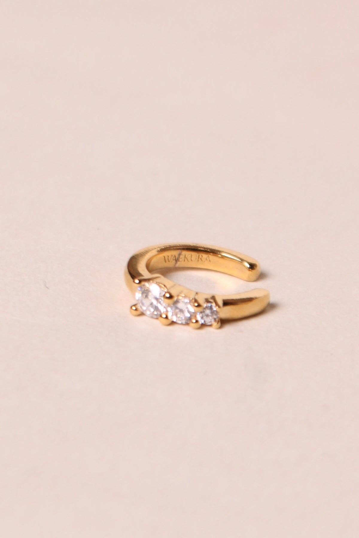 Roxane Earcuff