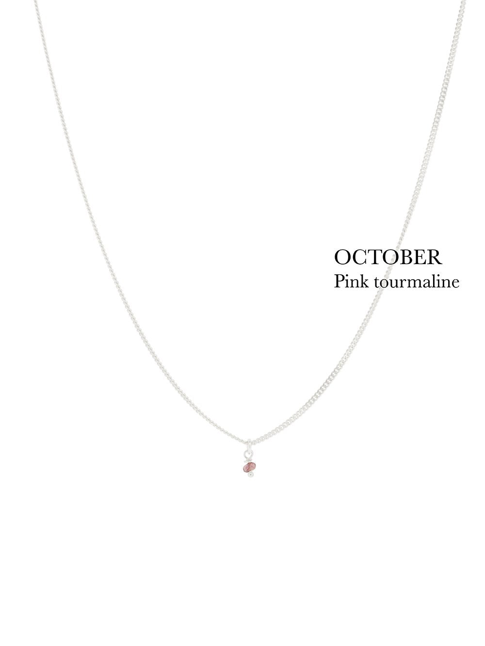 BIRTHSTONE necklace⎜Silver