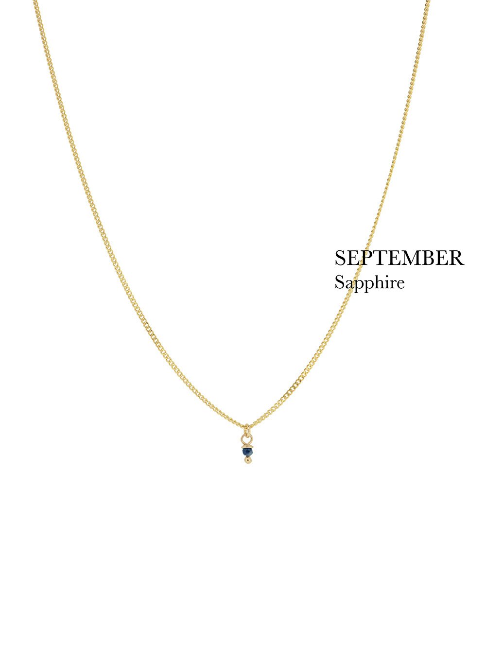 BIRTHSTONE necklace⎜Goldplated